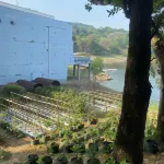 CampX Holiday Park Hotels in Tegalwaru