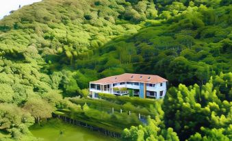Li Wu Zuo Cun B & B