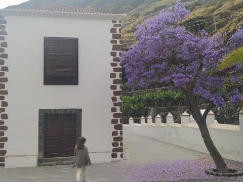 Caracol Trail Mountain La Palma junto a Trebol
