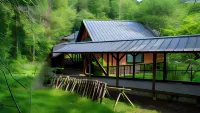 Tsuwabuki No Hana