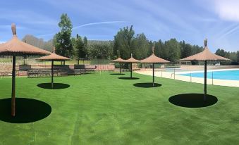 Hotel Sara De Ur - Housity