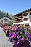 Hotel les Mélèzes Hotels in Zinal