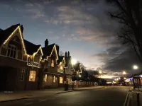 Forest Hotel