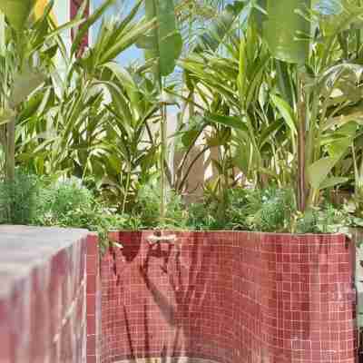 The Mellah Hotel Hotel Exterior