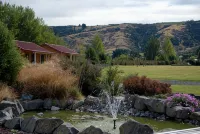 Longbourne Lodge Motel Mosgiel - Разрешено размещения с домашними животными