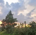 CABAÑAS EL PARAISO EN FILANDIA