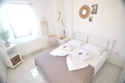Zennova 64 Casa Elias