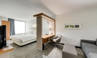 SpringHill Suites Houston the Woodlands