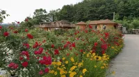 Red Clay Pension Dream Conversation Hotels in Donghae