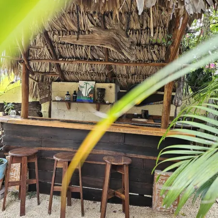 Jungla Bacalar