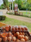 The Buda Muaklek Resort - servizio colazione