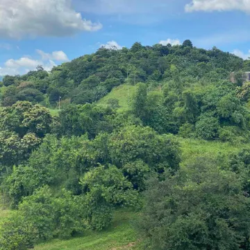 The Seven Clark Condo