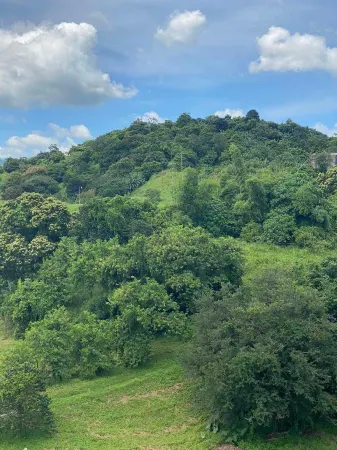 The Seven Clark Condo Отели рядом с достопримечательностью «Диносаерс Айленд»