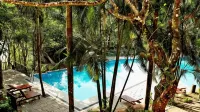 Wayanad Silver Woods Hotel - Romantic