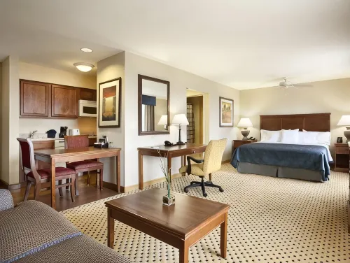 休士頓斯塔福德舒格蘭Homewood Suites by Hilton