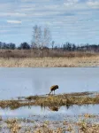 The Trail Inn - Grantsburg, WI - 703 WI-70 - โมเทล