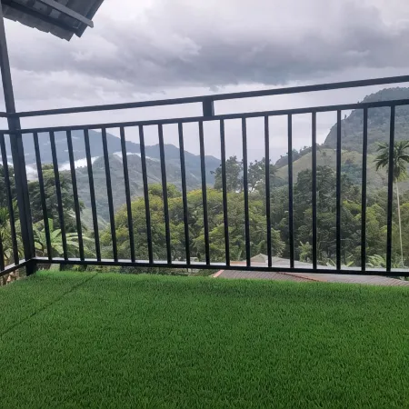 Golden View Guest Ella