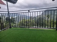Golden View Guest Ella