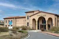 Arden Hill Resort & Golf Club 漢拏山国立公園のホテル