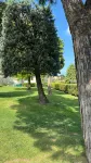 Cozy apartment in Sirmione on the shore of Lake Garda