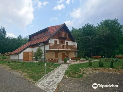 Guesthouse Green Valley Hotels in 
