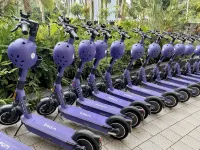 Hilton Cairns - palestra
