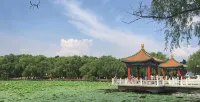 桐林ホテル 長春（桂林路動植物公園）