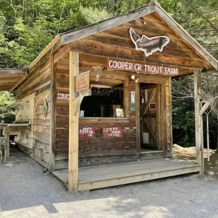 Cozy Cabin in Nantahala Village