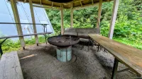 Cozy hut in the middle of the forest. Pet friendly!