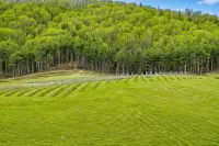 Shenandoah Park, SkylineDr.,Trails, Wine, Massanutten Ski Resort&Charlottesville