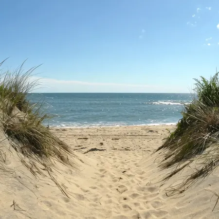 Beach Getaway - Spacious Katama Beach House