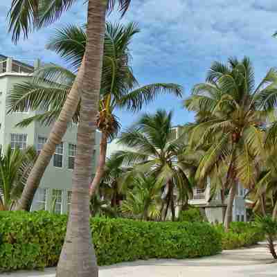 Enjoy ocean and beach views from this 2 bedroom condo - Gold Standard Approved Hotel Exterior