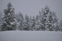 Price Drop!!!  Outland Meadows Cabin Near Yellowstone Park