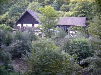 Neumühle vacation apartment with roof terrace, located in the Üßbachtal valley in the nature reserve - 2-Star