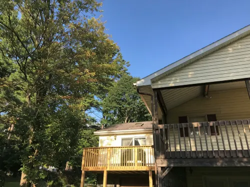 Adirondacks Family Retreat - Wifi