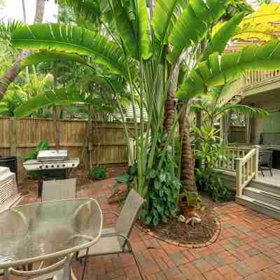 Tropical  Heron Hideaway w/Hot Tub + Pool Hotel Exterior