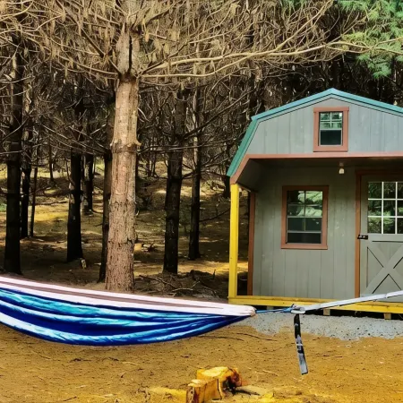 Gavin Cabin