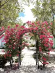 Best of Bimini - Oceanview - 2 Bedroom / 2 Bath - piscine
