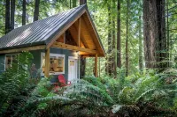 Secluded Cabin in Redwood Forest - シャレー
