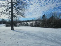 Meadow View Tiny Home Style Cabin near the Buffalo River. Pet Friendly - Wifi