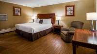 New Englander Inn Bennington - Bintang 3