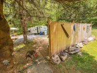 Roscoe RV Pet Friendly