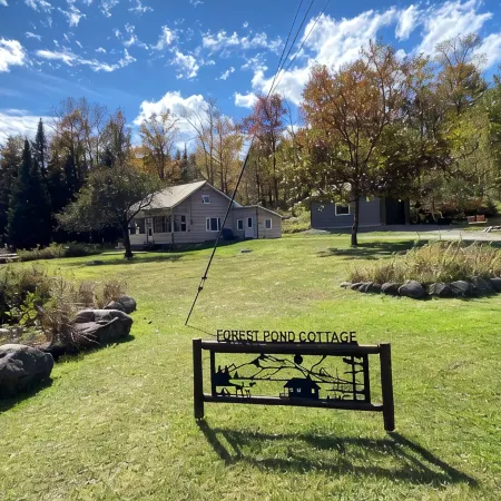 Adirondack Cottage - Four Season, Pet-Friendly, Cozy & Beautiful. Read  reviews!