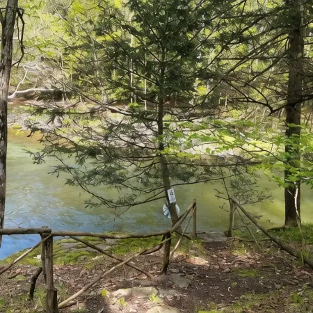 Private Cottage - 5 Min from the Center of Town