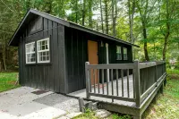 Cozy A-Frame ~10 min to Cashiers - Pet Friendly, Firepit, + Hot tub! - Træningscentre