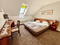 Zenit Wellness Hotel Balaton Hotels in Keszthelyi