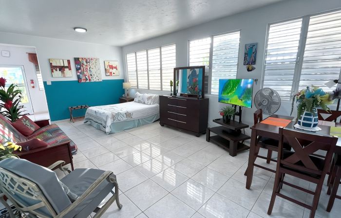Solar Powered Fully Air Conditioned Beautiful Studio Vacation Rental