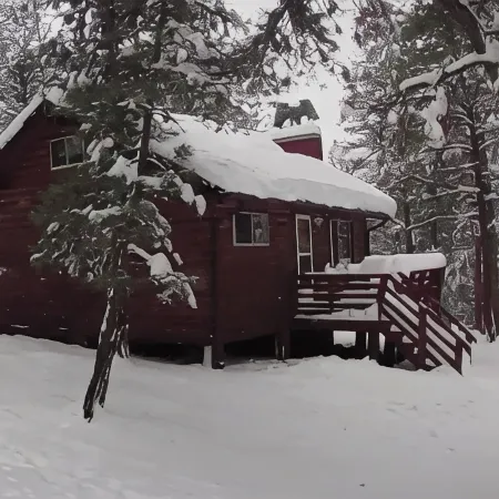 Cabin at Sportsman’s Paradise- Anglers’s Dream & Mountain Retreat.