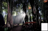 Tegal Dukuh Camp - Camping