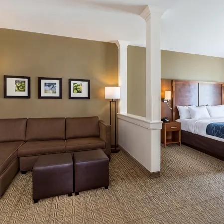 Comfort Suites Hartville-North Canton